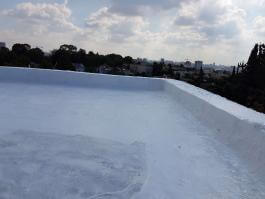 איטום גג כולל סיוד שביצעה חברת "ירוק עד - איטום גגות ומרפסות" במפעל באזור הצפון