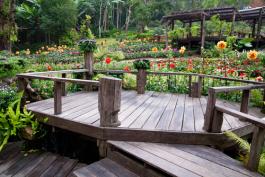 ����� �� ���� ��� ��� �� ����� ����� ����� �����