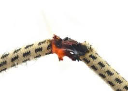 סיכון לקצר חשמלי בעקבות כבל חשמל קרוע ופגיעה בבידוד