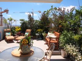 גינה יפהפייה פורחת בגינת בניין משותף בעיר