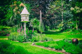 מגוון צמחייה האופיינית לגינה בסגנון אנגלי