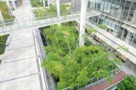 הקמת גינה פנימית במתחם מודרני של בניינים משותפים