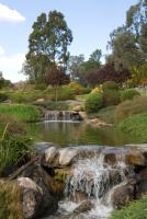 גינה מעוצבת בסגנון יפני עם קוים נקיים פשוטים ויפים