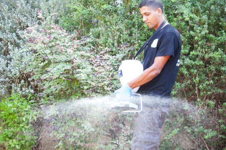 הדברת מזיקים