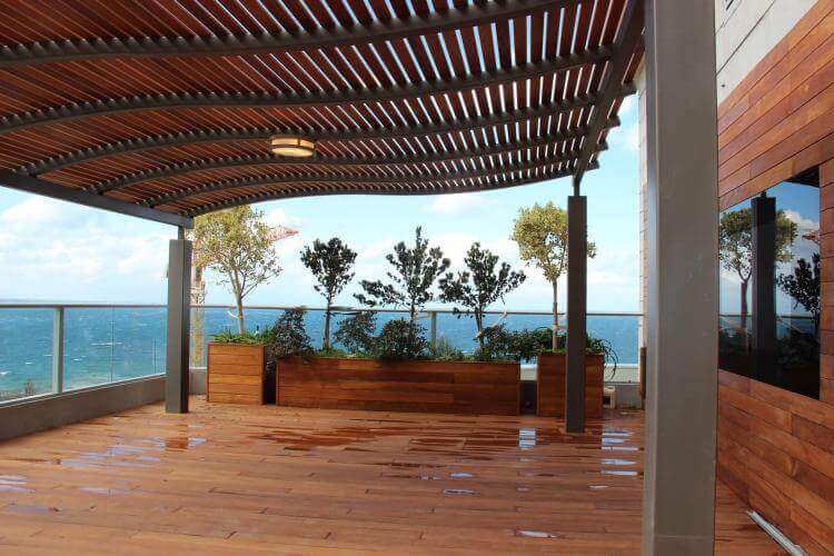 עיצוב גינת גג