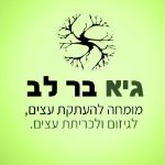 גיא ברלב גיזום עצים