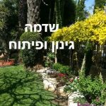 שדמה גינון ופיתוח (לא מבצע אחזקות)