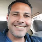 עץ ועצות אחרות