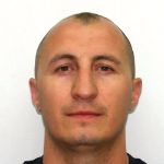 הובלות סטולרמן