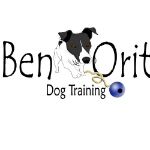 אורית אילוף כלבים