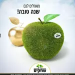 שחקים