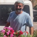 שלומי אומנות הגינון