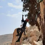 עומרי מומחה לגיזום עצים