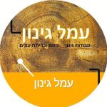 ��� �����